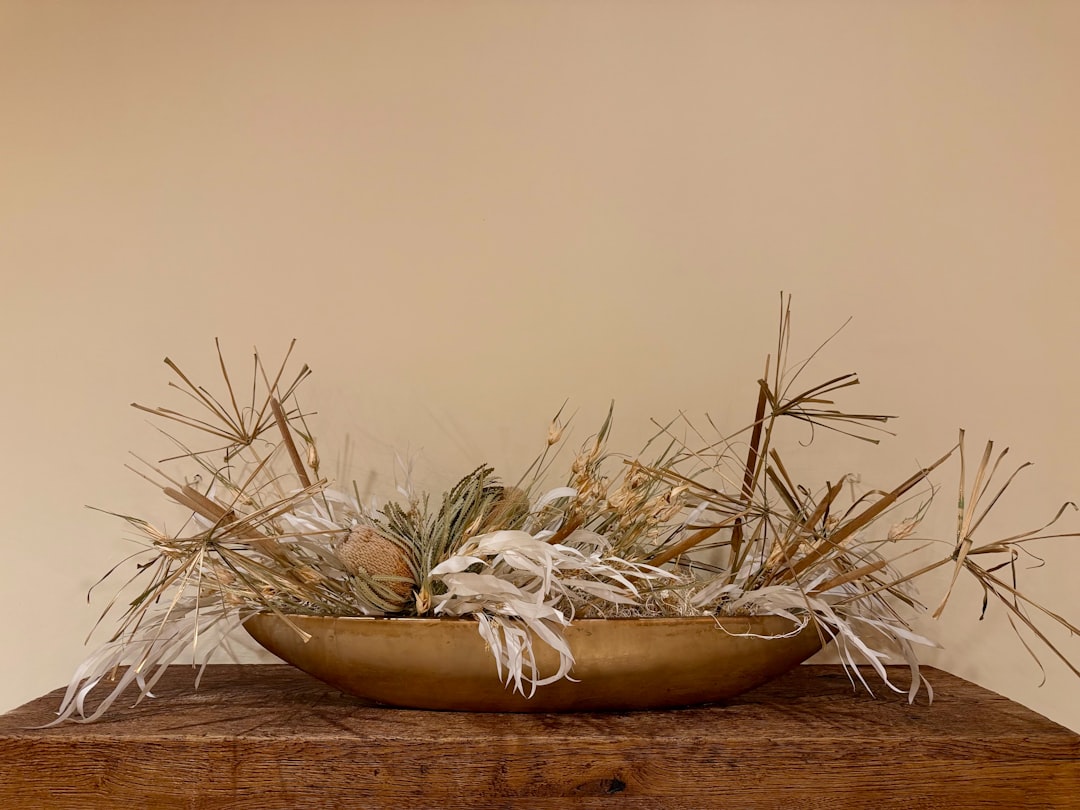 Photo natural decorations